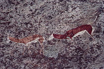 Pictograph of antelope, Namibia