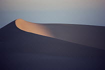 Namib Desert showing tallest sand dunes in the world, Namibia