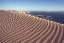 Rippled and patterned sand dunes of Namib Desert meet Atlantic Ocean, Namibia