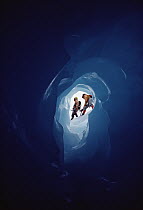 Ice climbers seen through ice cave, Columbia Icefield, Jasper National Park, Alberta, Canada