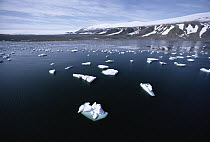 Ice floes, Ellesmere Island, Nunavut, Canada