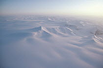 Aerial view of mountains and icefield in high Arctic, Ellesmere Island, Nunavut, Canada