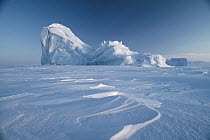 Iceberg in pack ice, Ellesmere Island, Nunavut, Canada