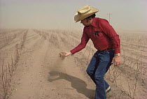 Cotton farmer with handful of dust in front of drought-stricken crops, west Texas