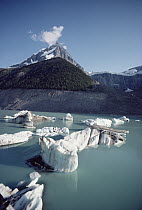 Bits of glacial ice in glacial lake, Canadian Rocky Mountains, Alberta, Canada