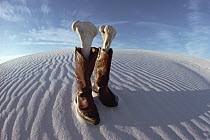 Boots with bones, White Sands National Park, New Mexico