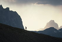 Hiker on Mount Edith Cavell, Canadian Rocky Mountains, Canada