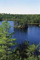 Tourist canoeing in Discovery Lake, Boundary Waters Canoe Area Wilderness, Minnesota