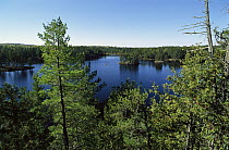 Tourist canoeing in Discovery Lake, Boundary Waters Canoe Area Wilderness, Minnesota