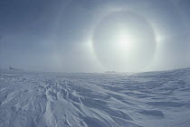 Sundogs, also known as mock sun, on the horizon above a snow field, Minnesota