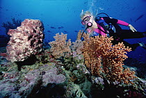 Birgitte Wilms scuba diving near coral reef, 60 feet deep, Solomon Islands