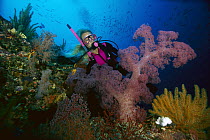 Soft Coral (Dendronephthya sp) and diver, 80 feet deep, Solomon Islands