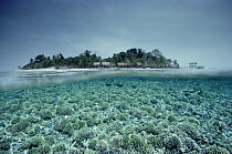 Sipadan Island, a rich oceanic island surrounded by coral reef, Borneo