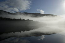 Calm bay with fog surrounded by boreal forest, southeast Alaska