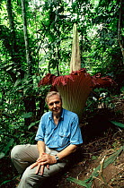 David Attenborough beside world's largest unbranched flower inflorescence, the Titan arum (Amorphophallus titanum)  on location for BBC series Private Life of Plants, Sumatra 1993