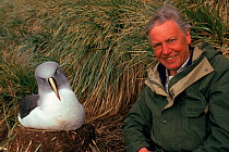 David Attenborough with Grey-headed albatross (Thalassarche chrysostoma) at its nest. On location for 'Life in the Freezer' 1992