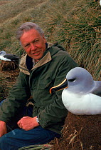 Sir David Attenborough with Grey headed albatross (Thalassarche chrysostoma) on nest when on location for BBC tv series 'Life in the Freezer' South Georgia, 1993