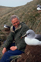 David Attenborough beside grey-head albatross sitting on nest, South Georgia 1992, on location for BBC series Life in the Freezer