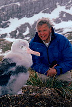 Sir David Attenborough with Wandering albatross (Diomedea exulans) chick, South Georgia, on location for 'Life in the Freezer' 1992