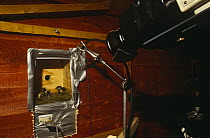 Film camera set up to remotely film Great Tit nest box. Bird in the Nest tv programme 1995