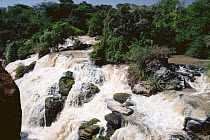 Awash falls in full flow, Awash river, Ethiopia, East Africa