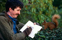 Artist Derek Robertson sketching a tame Red squirrel {Sciurus vulgaris} Perthshire, Scotland, UK