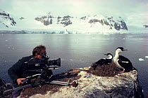 Ian McCarthy in Antarctica filming Blue-eyed cormorants for BBC television series 'Life in the Freezer'
