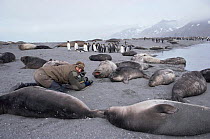 Cameraman Mike Richards filming Southern fur seals at breeding colony for BBC series Life in the Freezer, South Georgia 1992