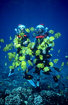 Presenters Martha Holmes and Mike De Gruy  surrounded by Lemon Butterflyfish (Chaetodon miliaris) Hawaii, on location for BBC NHU  series Seatrek 1991