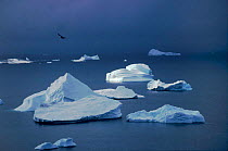 Sunlit iceberg in field of icebergs with stormy sky, Antarctica