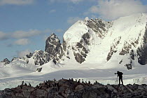 Ian McCarthy filming Gentoo Penguins for Life in the Freezer. Antarctica, 1992