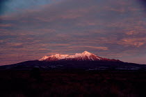 Mount Ruapehu and tussock land at sunrise. Tongario NP, New Zealand