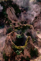 Geothermal vents 'Craters of the Moon'. Taupo, New Zealand