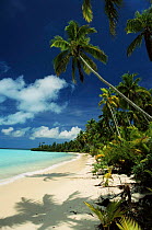 Coconut Palms, beach and coral lagoon. Aitutaki, Cook Islands.