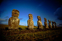 Giant Moai statues. A Kivi, southern part of Easter Island