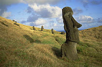 Moai statues on the south side of the sacred quarry Rano Raraku, Easter Island