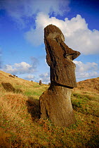 Moai statues. South side of sacred quarry, Rano Raraku, Easter Islands