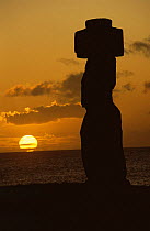 Moai with stone topknot on the clifftop at Hangaroa, Easter Island, with setting sun