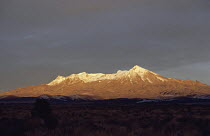 Mount Ruapehu from Desert Road. Tongariro NP New Zealand
