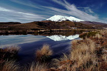 Mount Ruapehu from the north, Tongariro NP, New Zealand