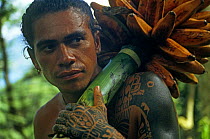 Marquesan with native Banana crop, filmed for BBC television series 'Nomads of the Wind', Polynesia, 1992