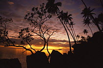 Tapu Tapu Atia, sacred site on Raitea Island, Polynesia
