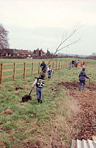 Children on parish tree planting day, Bedfordshire, UK