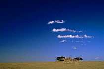Cloud-specked blue sky over the Barafu Kopjes, Tanzania, East Africa