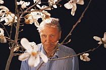 David Attenborough on location in Japan, with Magnolia grown from 2,000 year-old seed, filming for BBC television series "Private Life of Plants", 1994