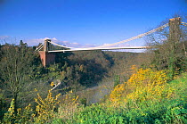 Clifton suspension bridge, Bristol, UK