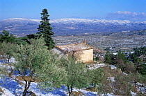 Mountain chapel and Olive grove in snow, Alicante, Spain