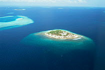 Aerial view of Maldive Island, the Maldives, Indian Ocean