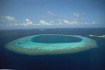 Aerial view of island, the Maldives, Indian Ocean