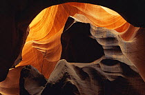 Abstract of sandstone formation in Corkscrew Canyon, Arizona, USA